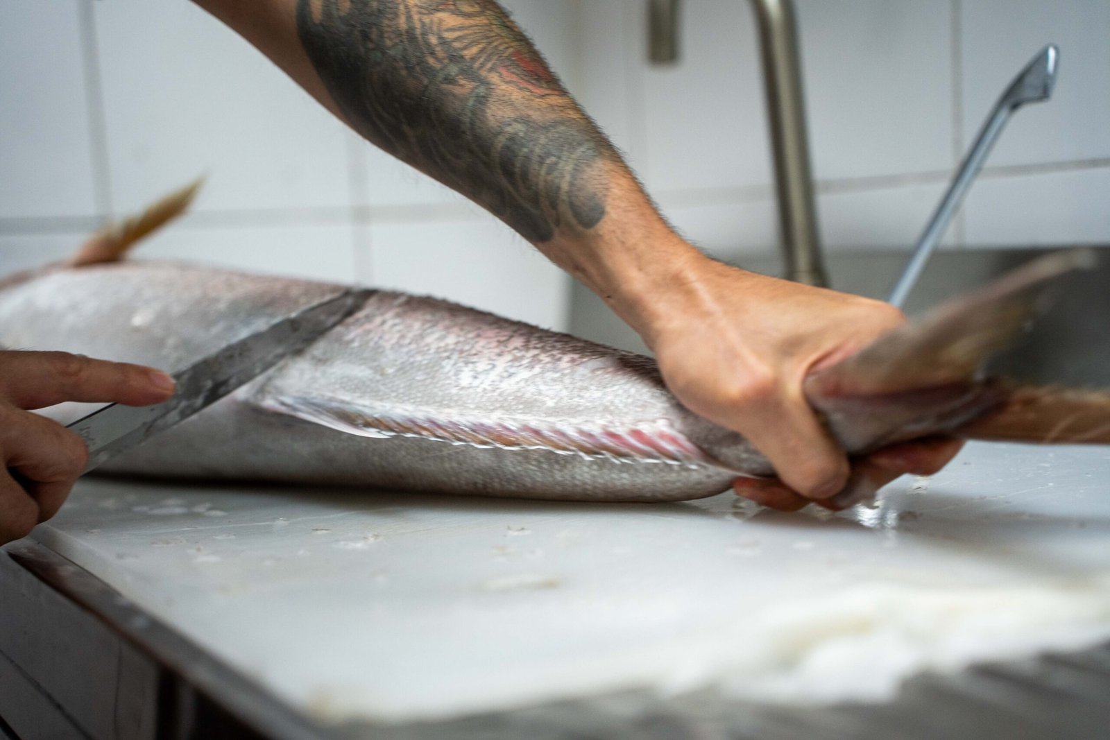 Il pesce che nessuno voleva
