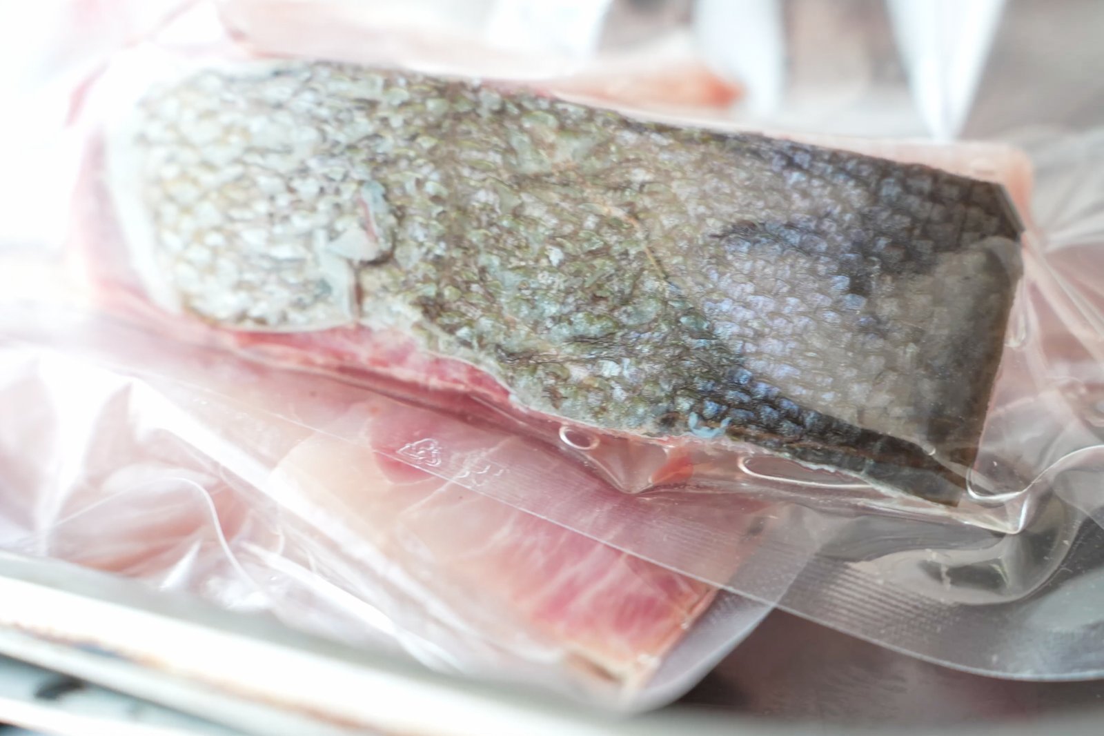 Pesce e Bollicine